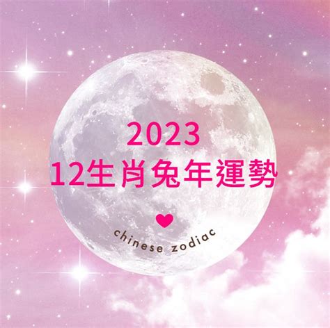 2023麥玲玲|麥玲玲：2023十二生肖整體運勢詳解！